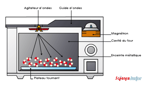 Micro-ondes : comment fonctionne un micro-ondes ?