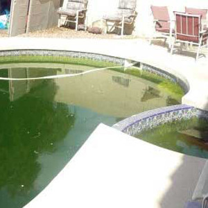 eau verte piscine