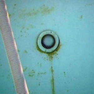piscine verte